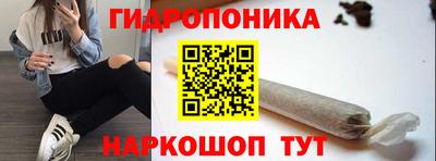 гашик Краснознаменск