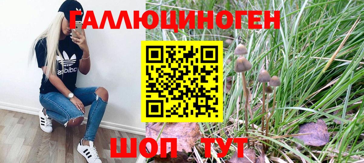 Галлюциногенные грибы Psilocybe  Вход с VPN  Псилоцибиновые грибы мухоморы  Елец 